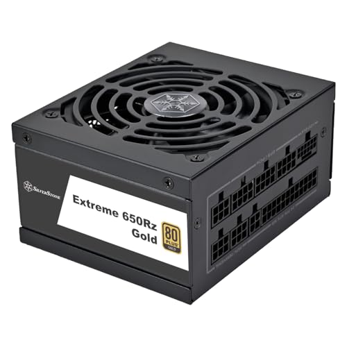 SilverStone Extreme 650Rz Gold power supply