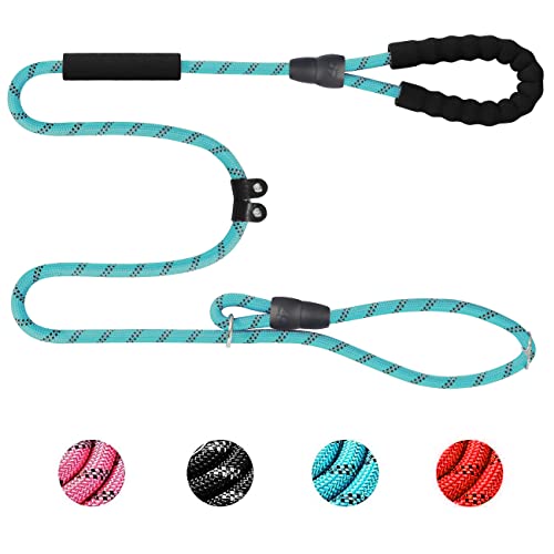 Pejoye Correa de Perro Adiestramiento 1.6m Larga Fuerte Resistente Reflectantes Cuerda con Mango Espuma Doble para Perros Medianos y Grandes para Camping Paseo Correr Senderismo (Azul) Cover