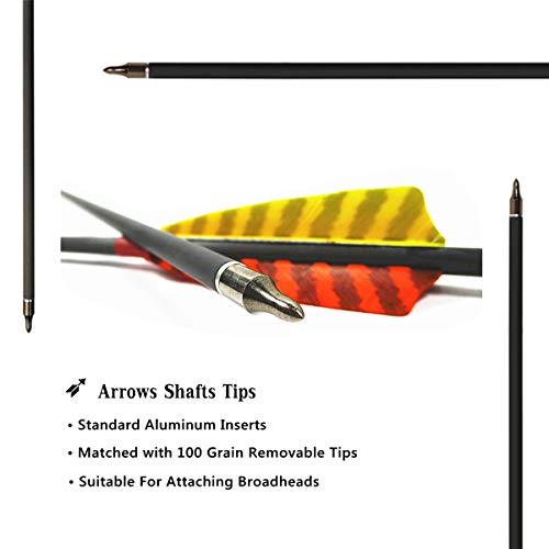 Letszhu Hunting Archery Carbon Arrow, Target Practice Arrow 500 Spine Fletched 4 Inch Real Feathers With Field Points For Compound Recurve Longbow (Pack Of 6) (29 Inch) #TOP6