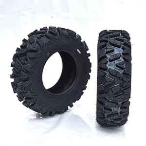 41dfwy0qkjl. sl500 . ss300