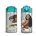 Zak Designs Moana 15.5oz Stainless Steel Kids Water Bottle with Flip-up Straw Spout - BPA Free Durable Design, Moana SS