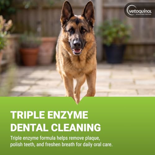 Image of Enzadent Enzymatic Toothpaste - Poultry-Flavored Paste for Cats & Dogs - Supports Healthy Teeth, Gums & Fresh Breath - Easy-to-Use Dental Care - 3.2 oz