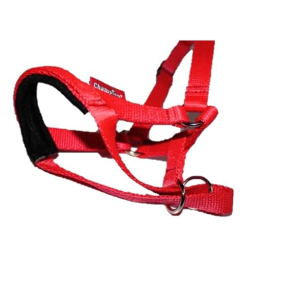 Headcollar Dog Halter/Training Head Collar Training Tool Dog, Head Harness to Stop Pulling on the Lead, Easy to Use - Image 2