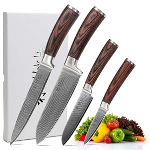 Wakoli Edib Kitchen Knife Set, 4-Piece Damascus Chef Knife 67 Layer High-Grade VG-10 Steel, Knives Set for Kitchen Essentials, Versatile Culinary Knife Set with Pakka Wood Handle in Gift Box