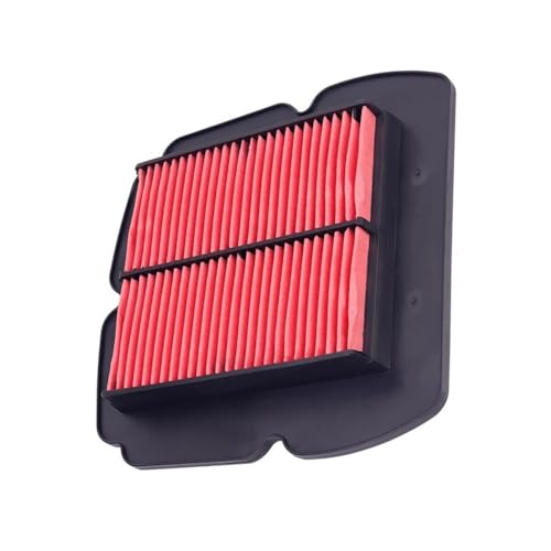 Filtre à air pour Raptor 650 IE (2005-2008) référence OEM 8000A5360