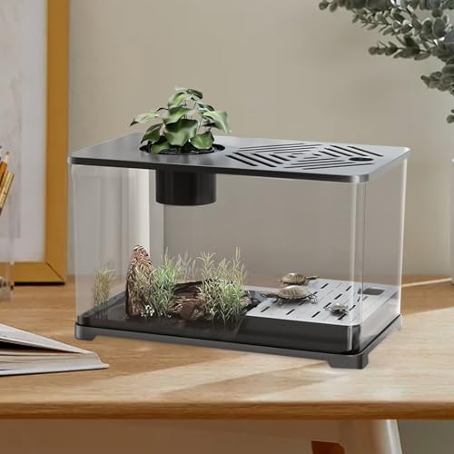 Kits débutants grands aquariums avec accessoires de bureau