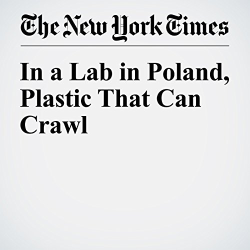 In a Lab in Poland, Plastic That Can Crawl cover art