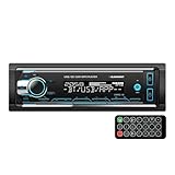 BLAUPUNKT Carmel 140 Single Din Multimedia DVD CD MP3 Receiver Front USB Port - Black