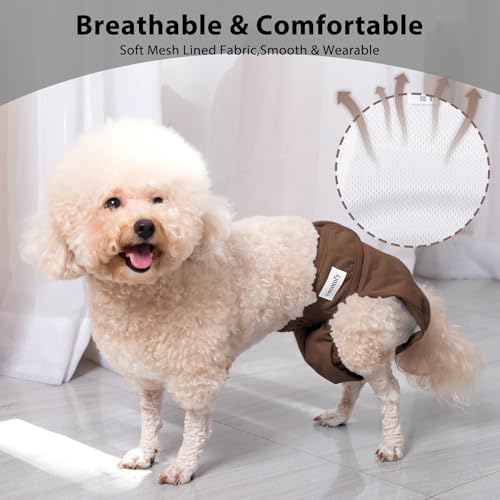Couches réutilisables pour chien XL pour garder la maison propre