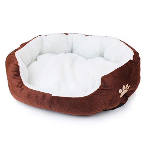 Cuccia A Ciambella Per Gatti E Cani – Morbido Peluche, 50 Cm, Marrone, Antiscivolo, Lavabile, Per Piccola Taglia Fino A 6 Kg