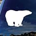 SoCoolDesign Polar Bear Car Window Vinyl Decal Sticker 5" Wide (White)