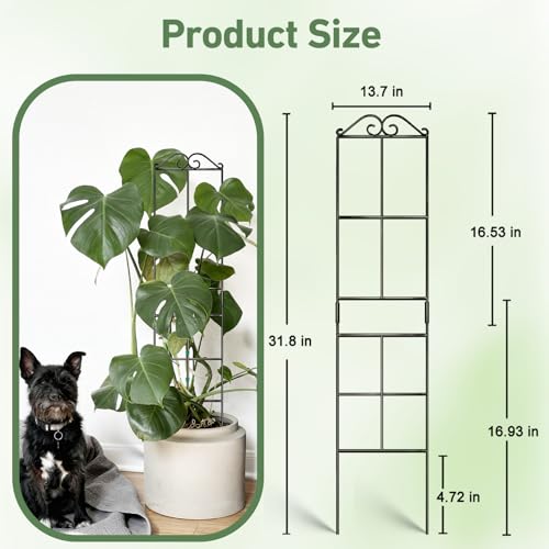 Image of 31.8'' Stackable Plant Trellis Indoor, Metal Trellis for Climbing Plants Indoor, House Plant Support with Soft Ties for Monstera Hoya Pothos, 4P