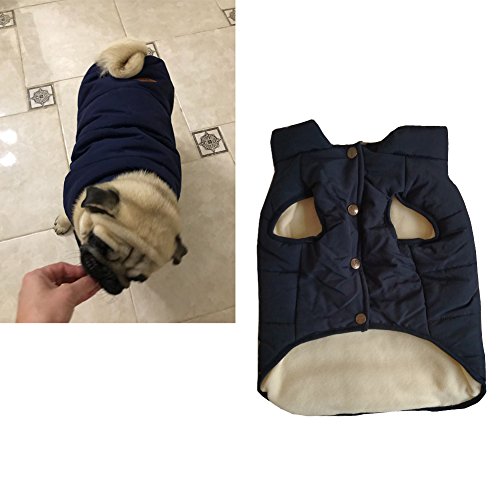 Tineer mit Kapuze Haustier Kleidung Cute Pet Kleidung Warm mit Kapuze französische Bulldogge warme Weste Anzug (M, Blau)