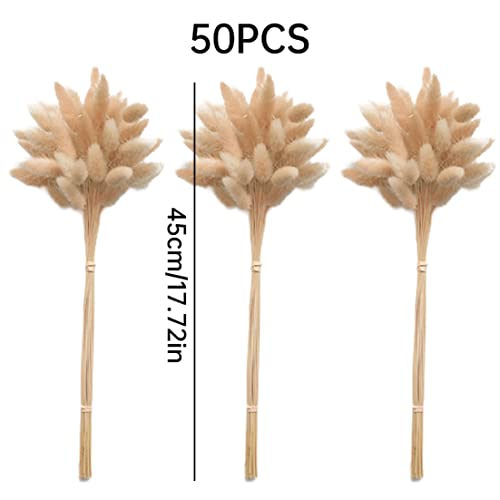 Bouquet pampas de table : 50 queue de lapin séchée pour centre de table - 5