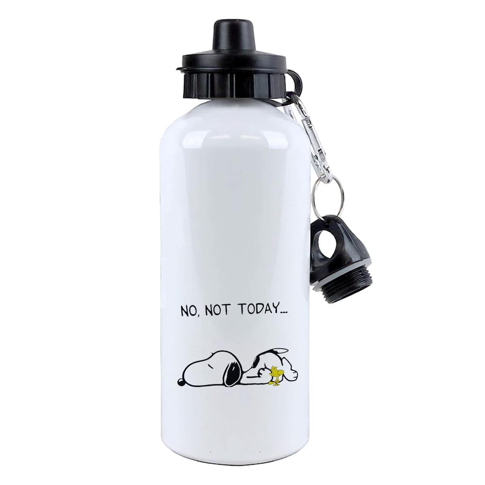 Giftme No Not Today Dog Birthday, Christmas, Secret Santa Stocking Filler Aluminium 500 ml Water Bottle sports bottle.