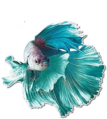 A/X 13cm For Female Betta Car Stickers Occlusion Scratch Decal Anime Graphics Personality Creative Decoration