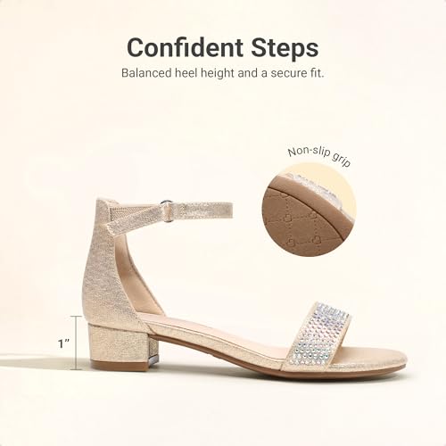 Image of DREAM PAIRS Girls Sandals Low Heel Dress Pump Ankle Strap Flower Wedding Party Shoes for Little Kid /Big Kid