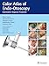 Color Atlas of Endo-Otoscopy: Examination - Diagnosis - Treatment