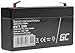 Green Cell® AGM 6V 1.2Ah Akku Vlies Batterie VRLA Blei Batterie Bleiakku Ersatzakku Akkubatterie Versorgungsbatterie Zyklenfest Wartungsfrei für Elektro Spielzeug | Alarm | Medizin | Taschenlampe