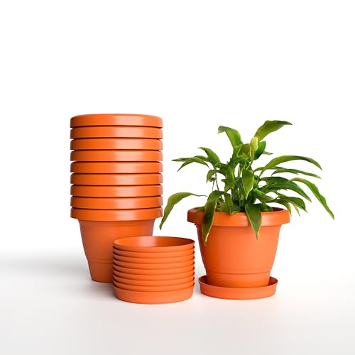 Image of YUCCABE ITALIA SHERA SD 8 INCH Pack of 10 with Bottom Tray Plastic Flower Pot Unbreakable Round Shape Planter for Garden Seedling Indoor and Outdoor