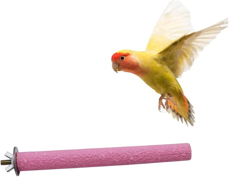 Poleiro para Aves com Areia de Quartzo e Madeira Litewoo para Desgaste do Bico – 18 cm