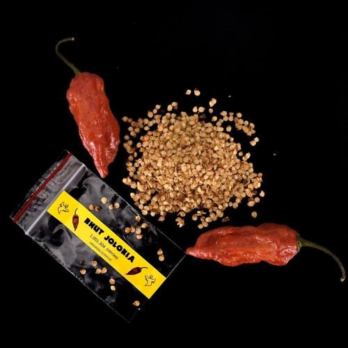 20 Sementes Bhut Jolokia A 3ª Mais Forte Do Mundo Verdadeiras De Assan Índia