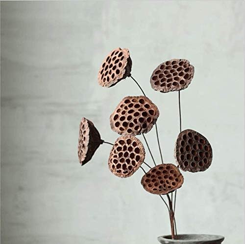 Miniatura 3 de NWFashion Paquete de 10 vainas de loto Brwon secas artificiales con tallos (6-8CM)