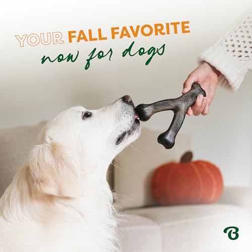 Image of Benebone Limited Edition Small 4 Pack with Pumpkin Wishbone Dog Chew Toys for Aggressive Chewers, Made in USA, 30lbs and Under