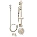 Speakman SM-7490-ADA-PBN Caspian Anystream Handheld Shower with hose, Diverter Shower Valve, and ADA Adjustable Grab Bar, Brushed Nickel