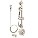 Price comparison product image Speakman SM-7490-ADA-PBN Caspian Anystream Handheld Shower with Hose, Diverter Shower Valve, and ADA Adjustable Grab Bar, Brushed Nickel