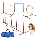 Stonehomy Dog Agility Training Equipment, 4/5 PCS Pet Outdoor Obstacle Courses Set for Backyard, Inc