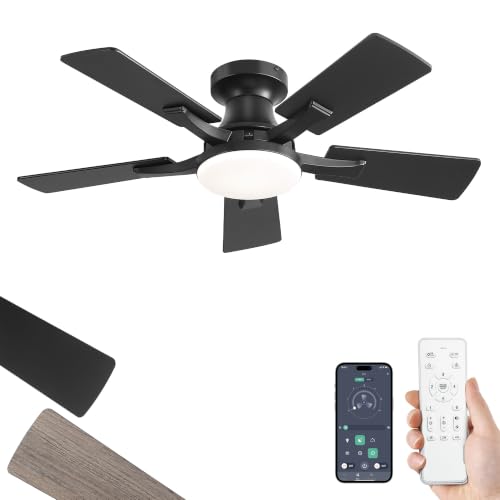 Image of ZMISHIBO 36 Inch Ceiling Fans with Lights, Remote&App Control, Flush Mount | Low Profile, Dimmable 20W LED Light, Quiet Reversible Motor, Strong Airflow, Easy Install for Bedroom /Living Room /Apt, Black