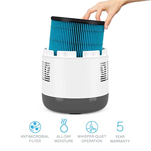 Pure Enrichment MistAire Eva Humidifier - Image 7