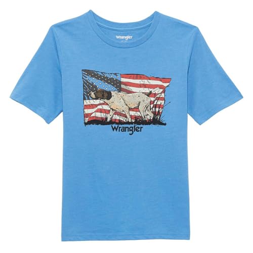 Wrangler Boy's Azure Blue Flag/Dog Graphic Tee2