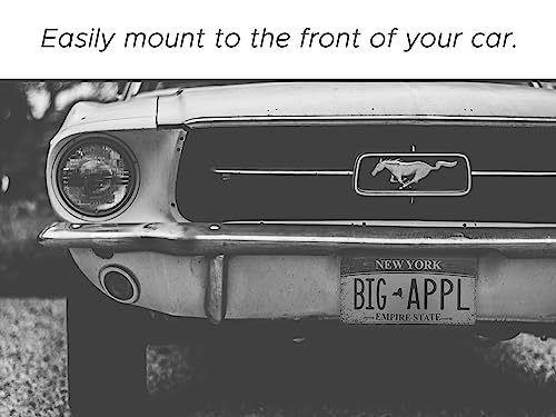 image for DREAM BIG PRINTABLES Custom License Plate - 6x12