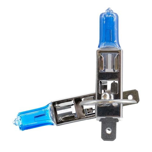 Simoni Racing BIR/H1 Halogen Bulb, Ice White Light