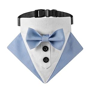 Mioyoow Elegancka Apaszka dla Psa HM29612