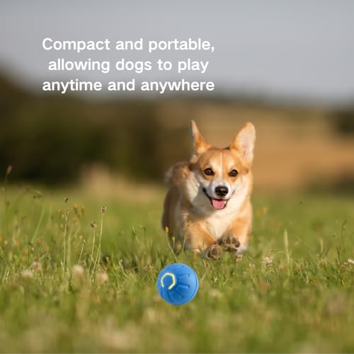 MILEDY 2PCS Shaky Ball for Dogs, Shaky Ball Toy for Dogs, Vibrating Dog Ball, Vibrating Ball for Dogs, Shaky Ball Moving Dog Toy, Automatic Moving Dog Toy Ball, Suitable for All Dogs (Orange+Blue) - Image 6