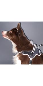 Amazon | ペティオ (Petio) 犬用胴輪 EthicalDoor（エシカルドア
