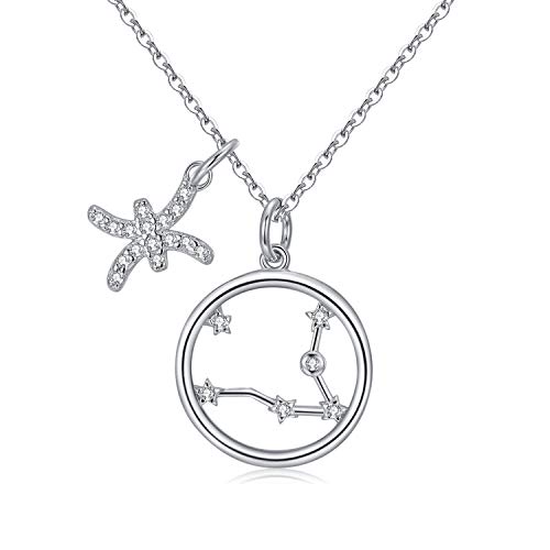 BFF Colliers Pendentif Poisson Argent : Fini les Bijoux qui Ternissent