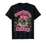 Britany Happy Birthday Cute Hamster Black Meme