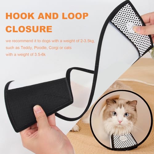 DAJING Cat Cone - Lightweight Plastic Elizabethan Collar for Cats Mini Dogs, and Rabbits, Transparent - Image 4