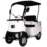 HAOWEIH Electric Golf Carts with Storage Box, 4 Wheel Courtesy Car for Seniors, All...