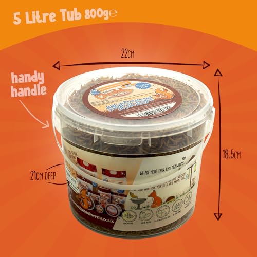 Chubby Mealworms (5 Litre), Dried Mealworms For Wild Birds, Protein Rich Dried Meal Worm High Energy for WildBirds, Reptiles, Gecko - Image 6