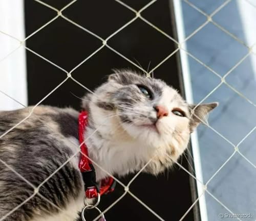 Kit 4.00x1.50 De Tela E Redes De Proteção Malha 3x3 Para Gatos e Calopsita (Preta)