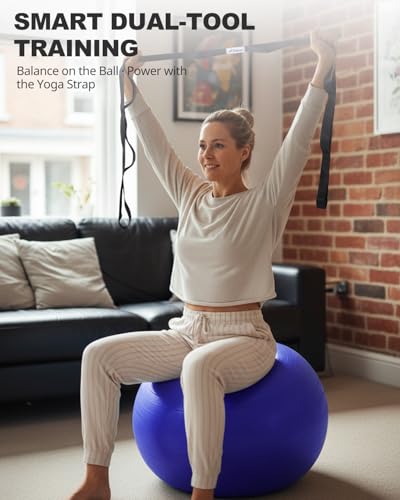 image for Trideer Exercise Ball for Yoga, Pilates & Fitness – Stability Ball E