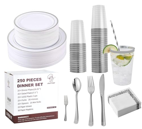 250 Count Silver Dinnerware Set