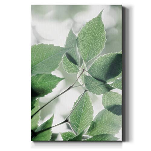 Renditions Gallery Sunlit Leaves I Wall Art, Colorful Green Nature Decor, Unique Botanical Tree Branch Artwork, Premium Gallery Wrapped Canvas, Ready to Hang, 24 in H x 36 in W, Made in America