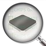 CG CHIPS GATE
