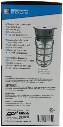 Woods L1706 Vandal Resistant Security Light With Ceiling Mount (150W Incandescent Bulb; Silver) #TOP1